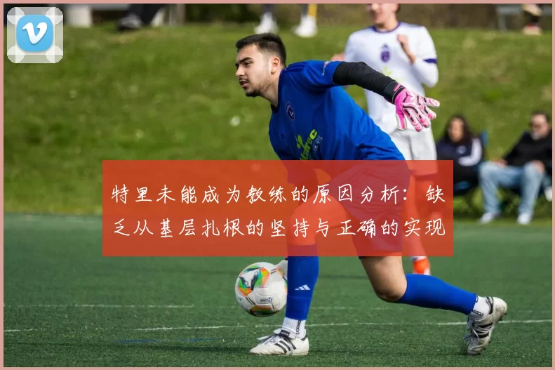 特里未能成为教练的原因分析：缺乏从基层扎根的坚持与正确的实现方式